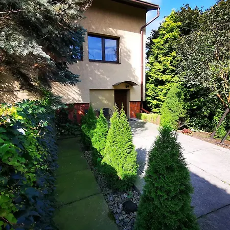 Aldi بييلسكو بياوا