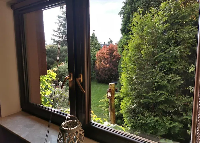 Aldi بييلسكو بياوا